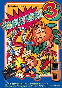 Donkey Kong 3 arcade artwork