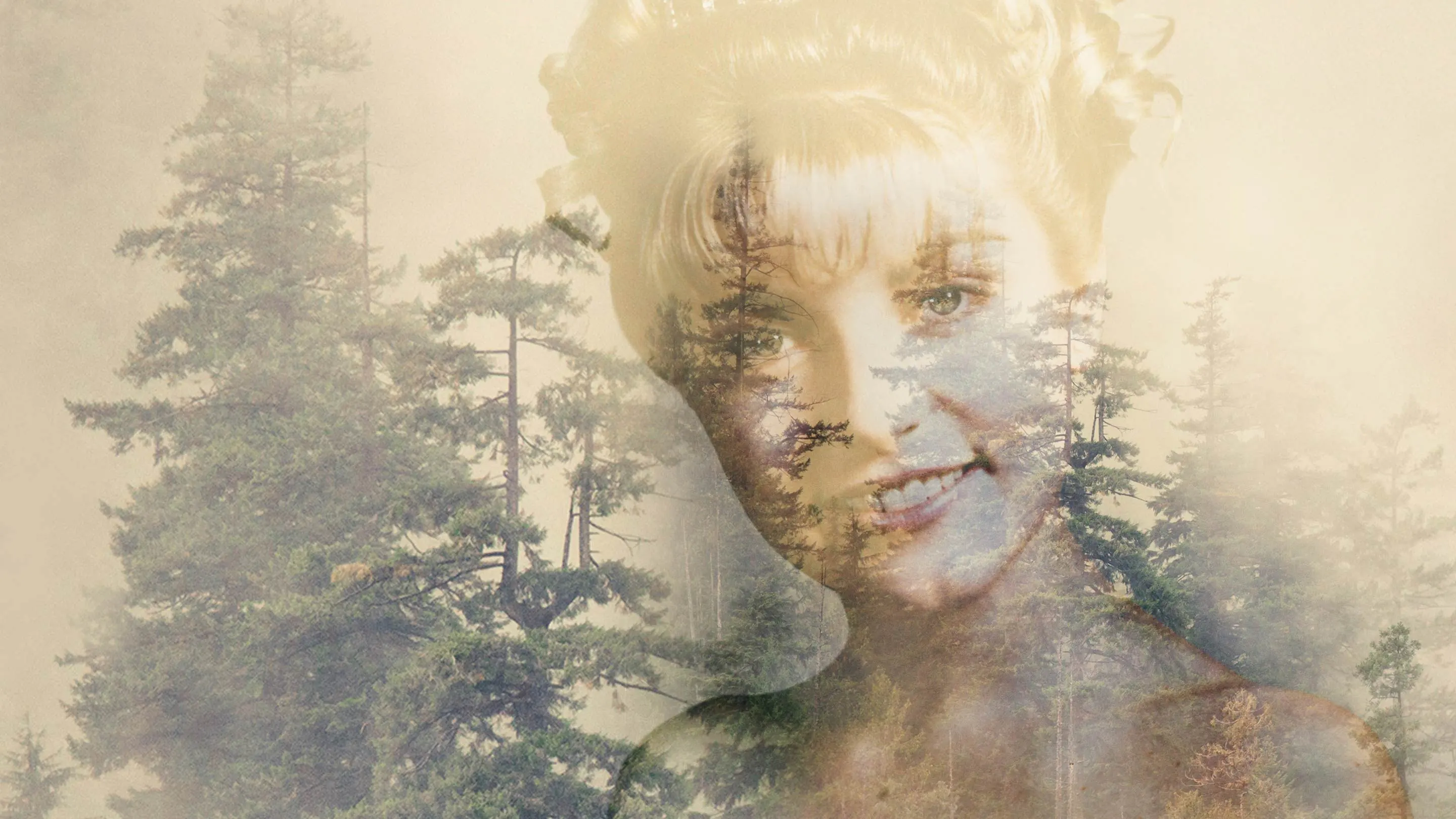 Twin Peaks Season 2 poster or key art