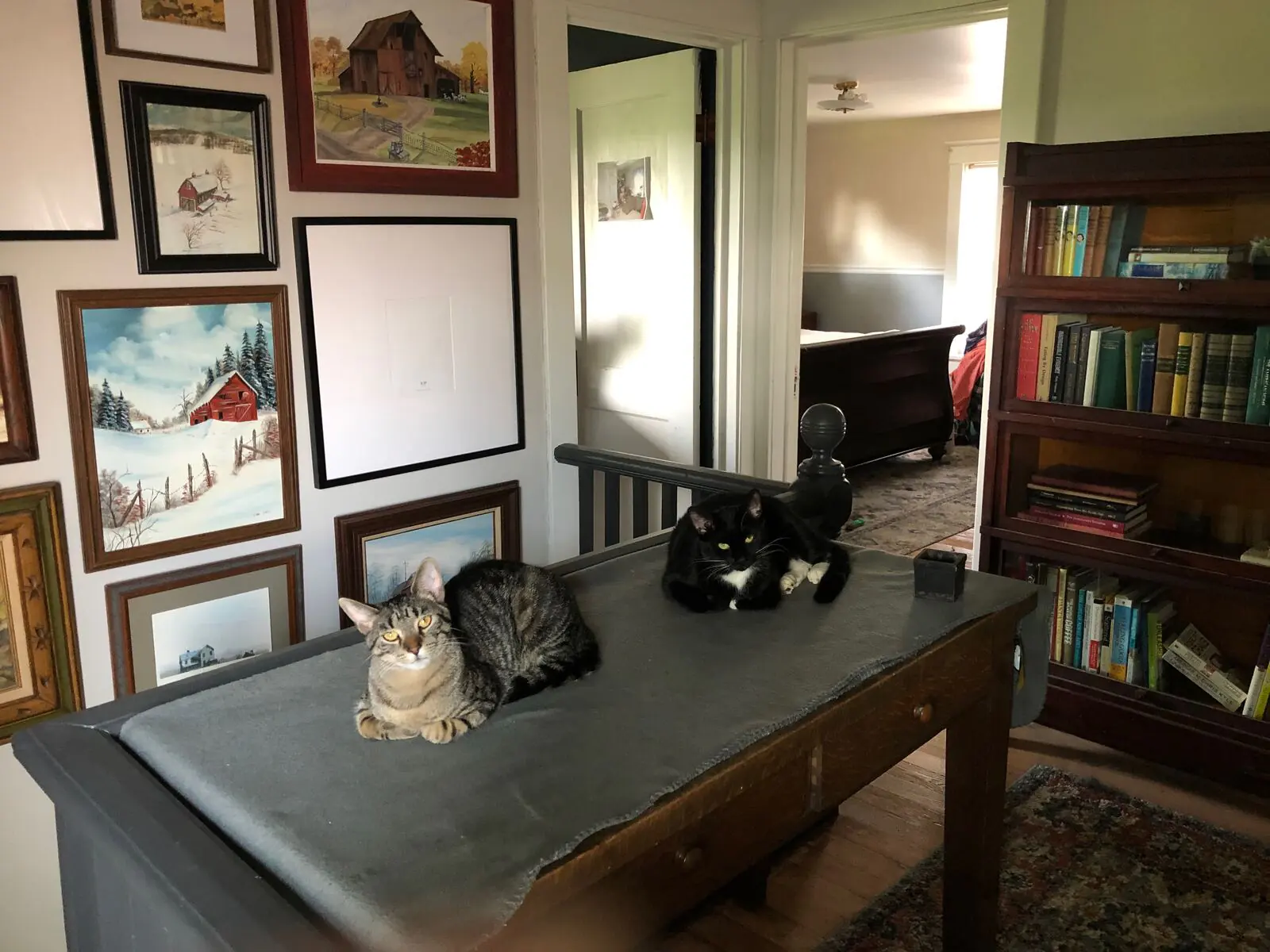 Thomas, Jones, Missy, and Cass photo 176